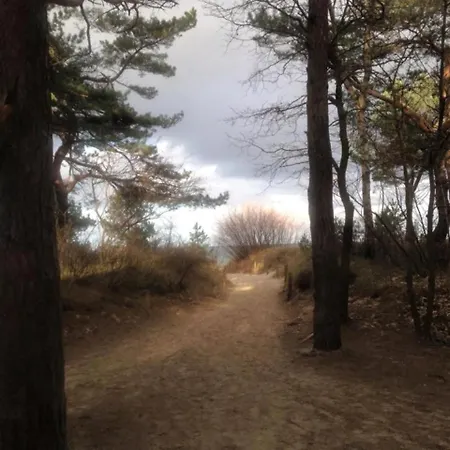 Tatil Evi Kleiner Onkel - Mit Sauna Penzance