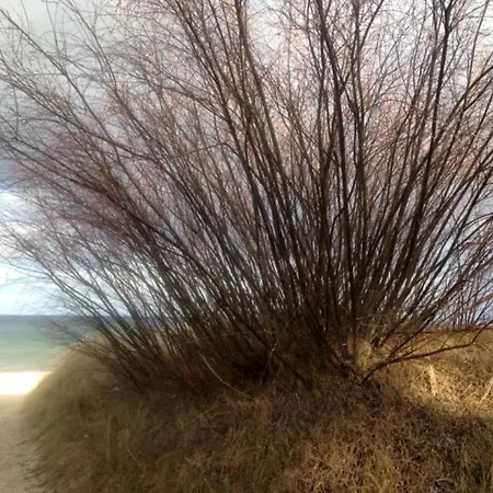 Kleiner Onkel - Mit Sauna Tatil Evi